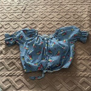Vintage Blue Gingham Floral Crop Top Cottagecore, Fairycore, garden